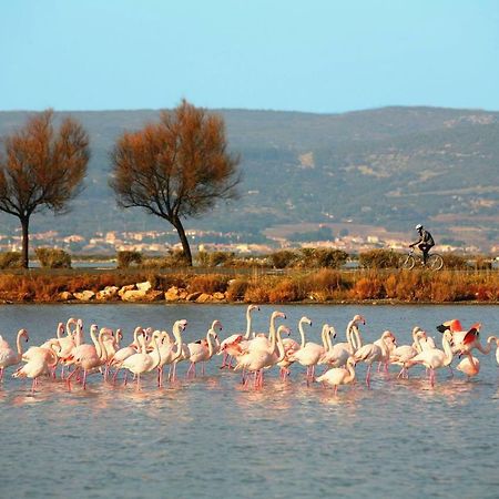 La Cabane Du Mas Andalou Plage Premiere Ligne De Mer Фронтиньян Экстерьер фото